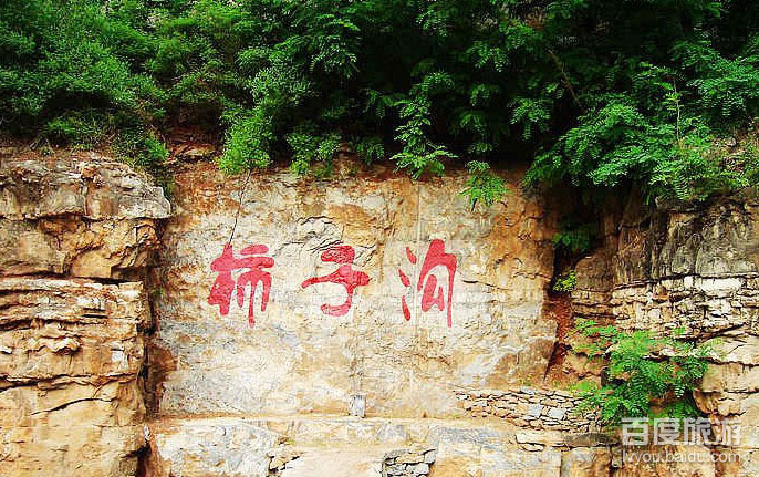 神星柿子沟VR全景