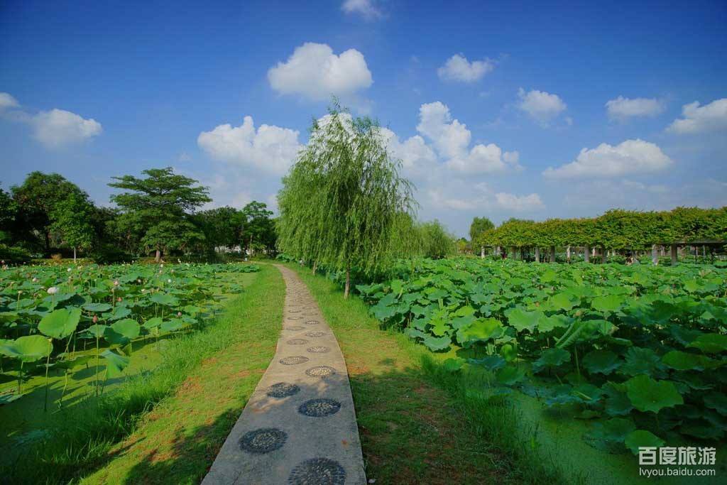三水VR全景