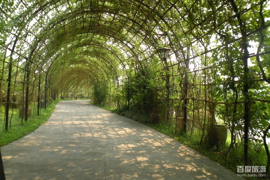 绿色长廊VR全景