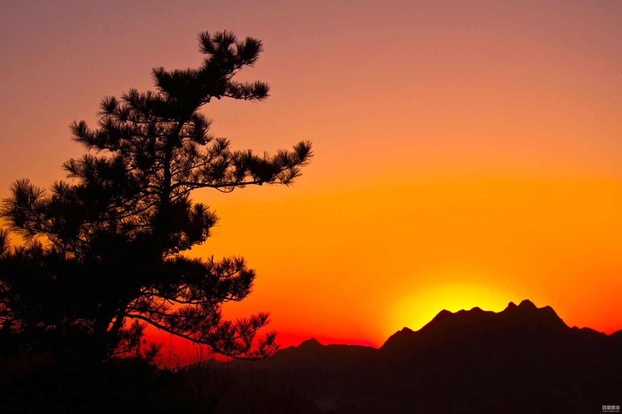 北山公园VR全景