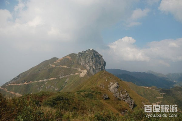 仰天巨佛VR全景