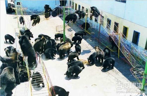 黑宝熊乐园VR全景