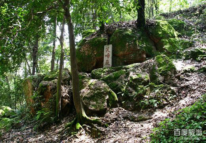 笑啼崖VR全景