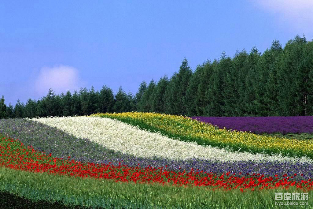 香草世界VR全景