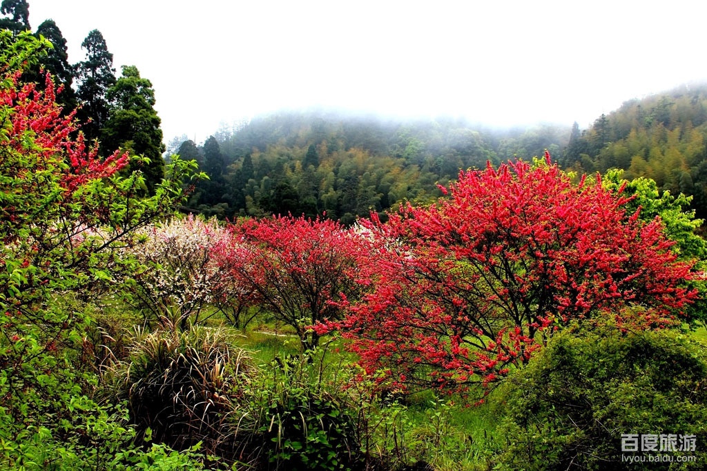 洪山公园VR全景