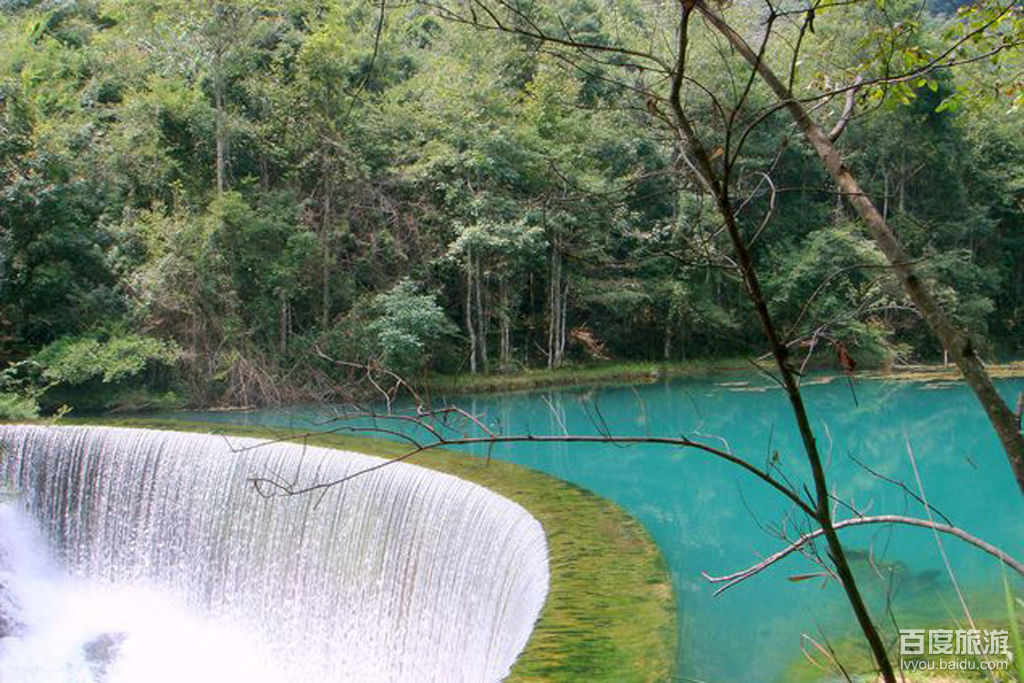 水上森林VR全景