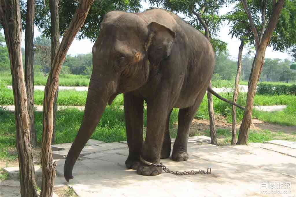 秦皇岛野生动物园VR全景