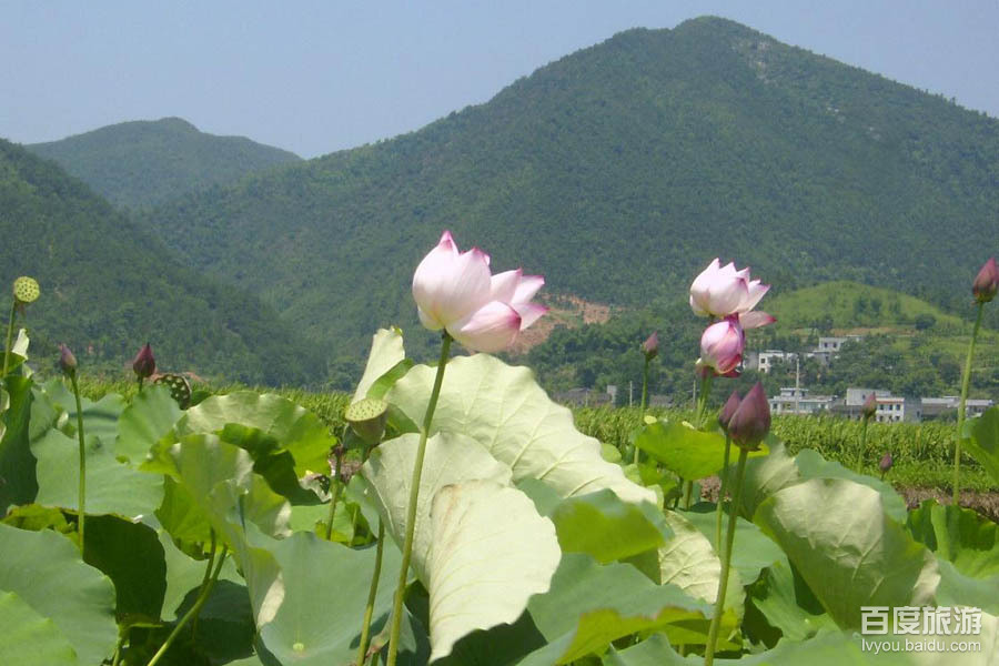 隐山湖湘文化VR全景