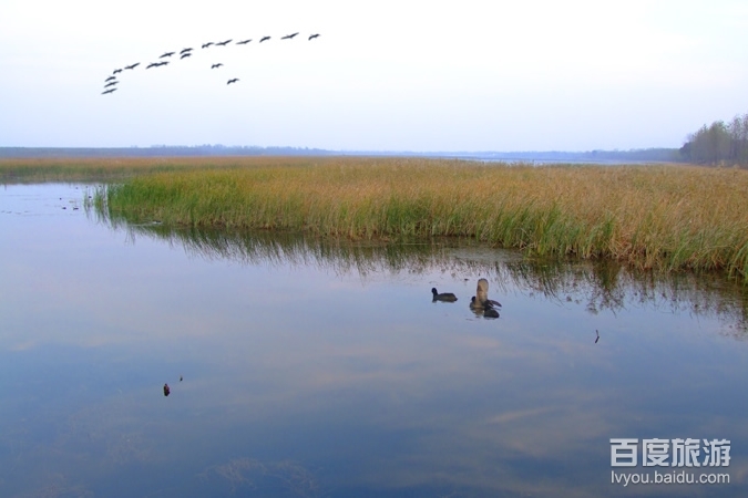 黄河故道国家森林公园