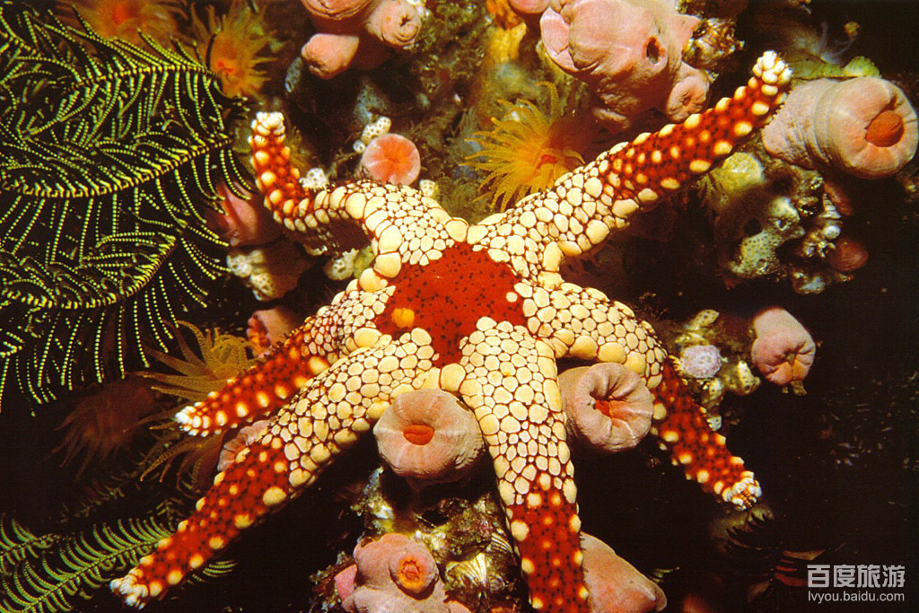 太平洋海底世界博览馆VR全景