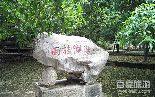 满陇桂雨VR全景