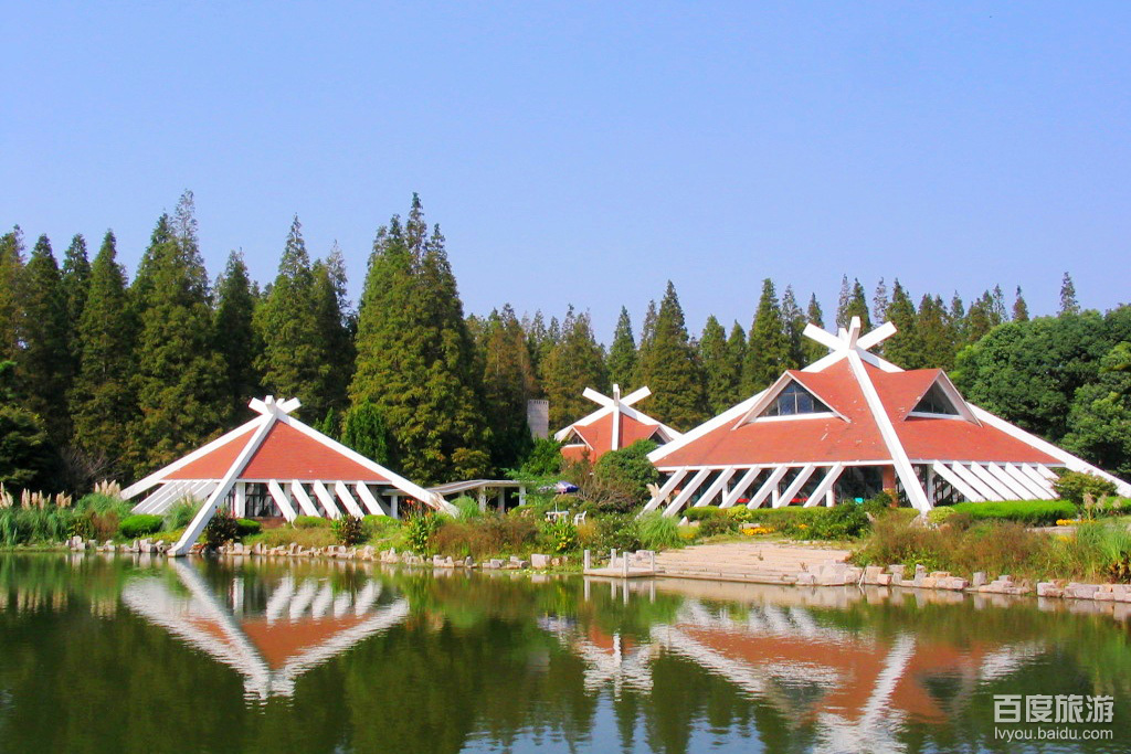 东平国家森林公园VR全景