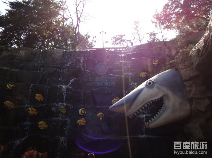 青岛海底世界VR全景