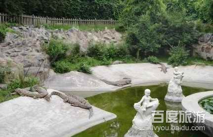 洋信鳄鱼园VR全景