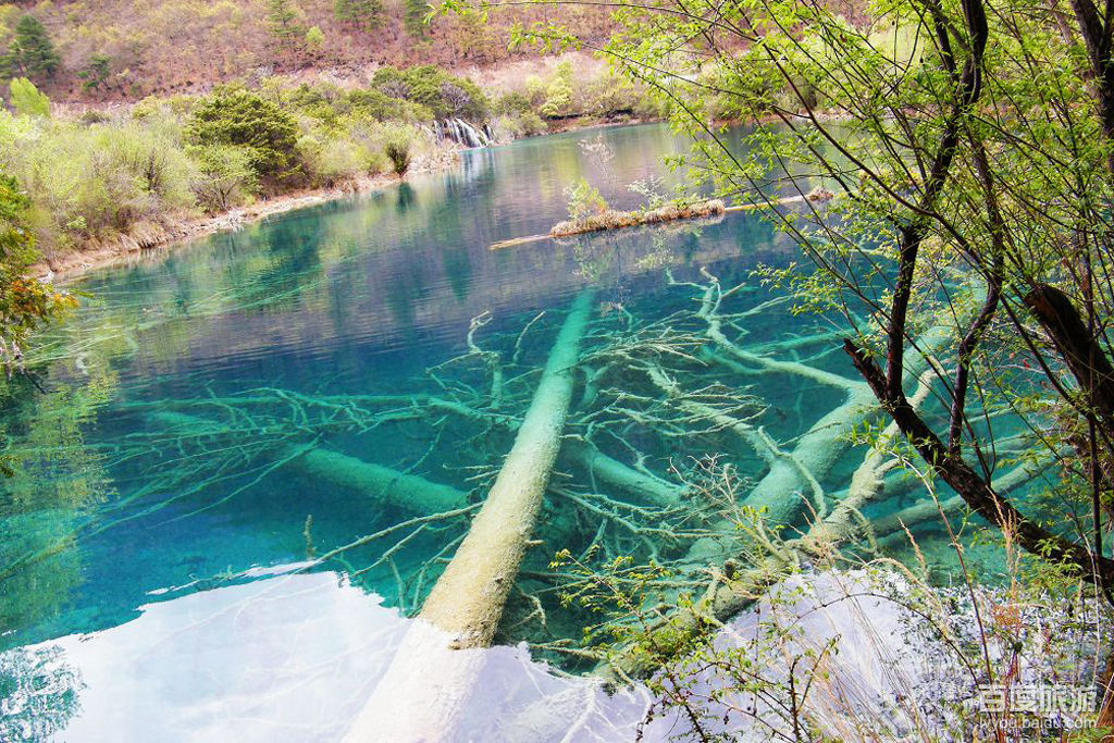 树正群海VR全景