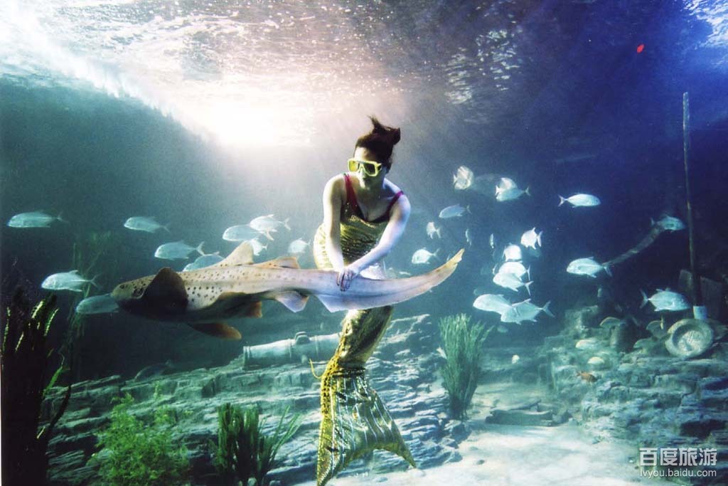 东湖海洋世界VR全景