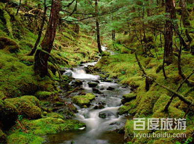 森鑫森林公园VR全景