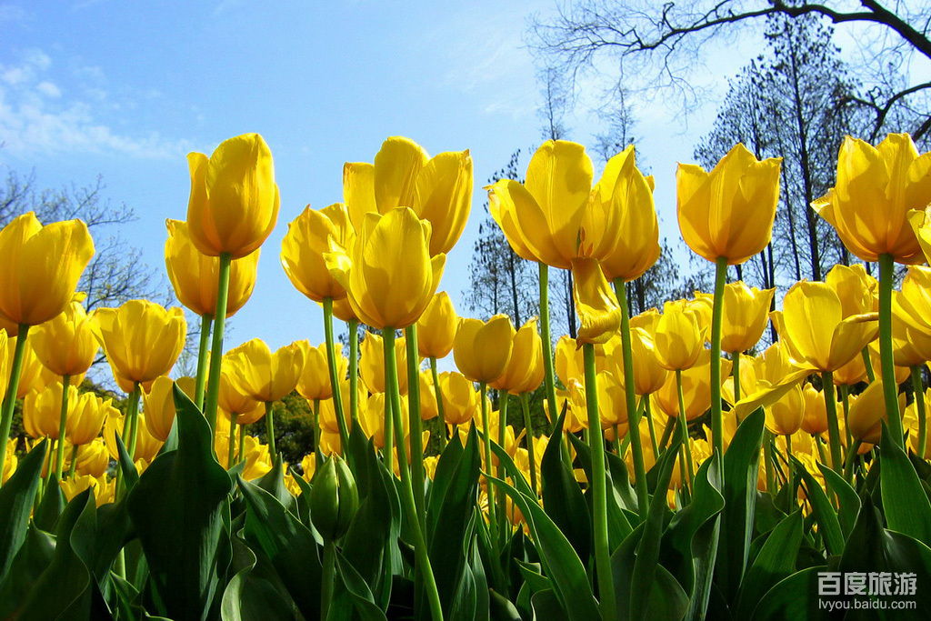上海植物园VR全景