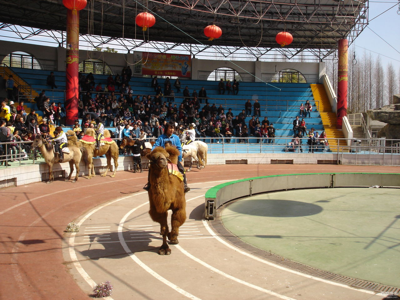 上海野生动物园VR全景