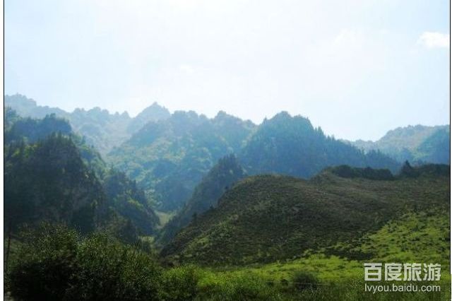 三峡森林公园VR全景