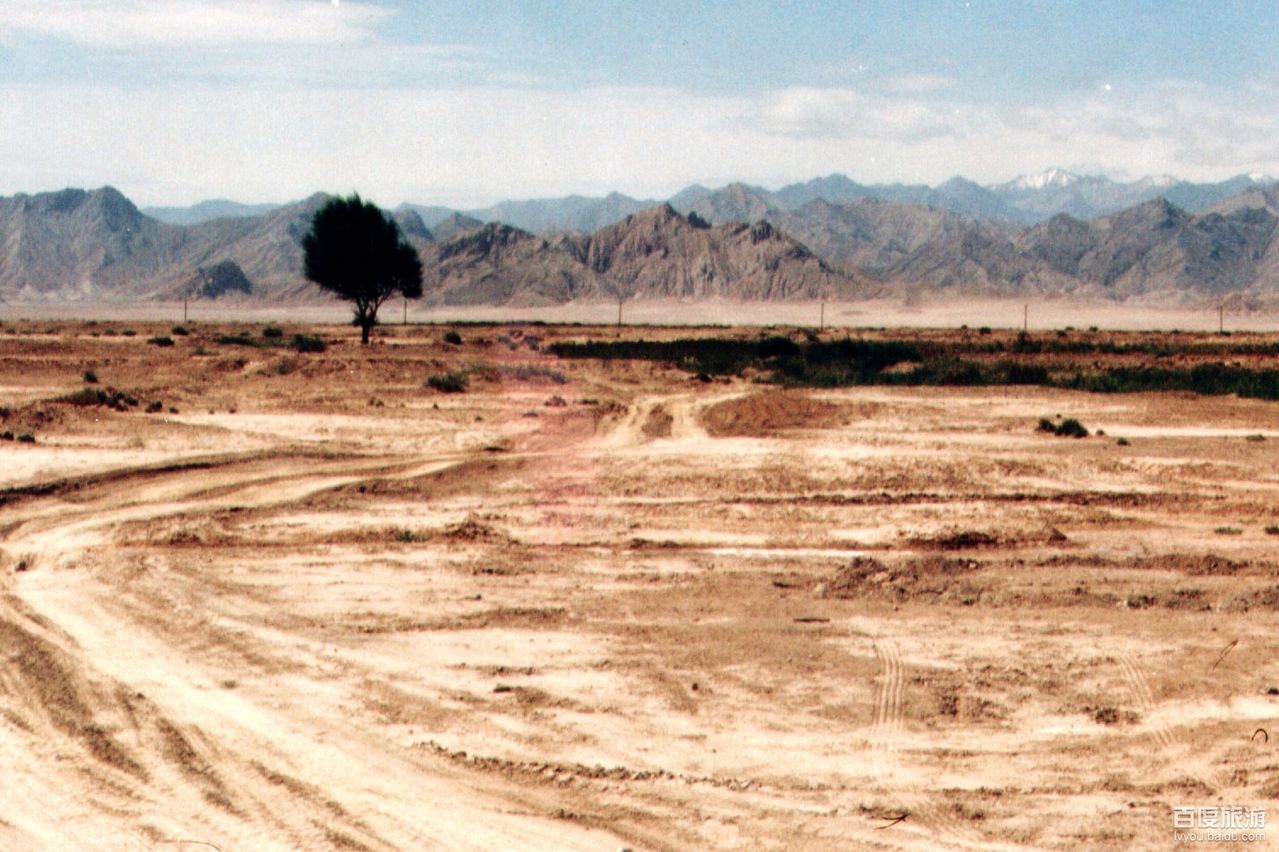 美仁大草原VR全景