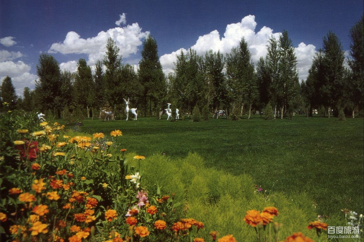 北郊公园VR全景